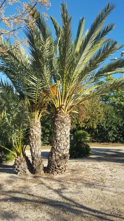 Sol Y Playa En San Juan Alicante Ngoại thất bức ảnh